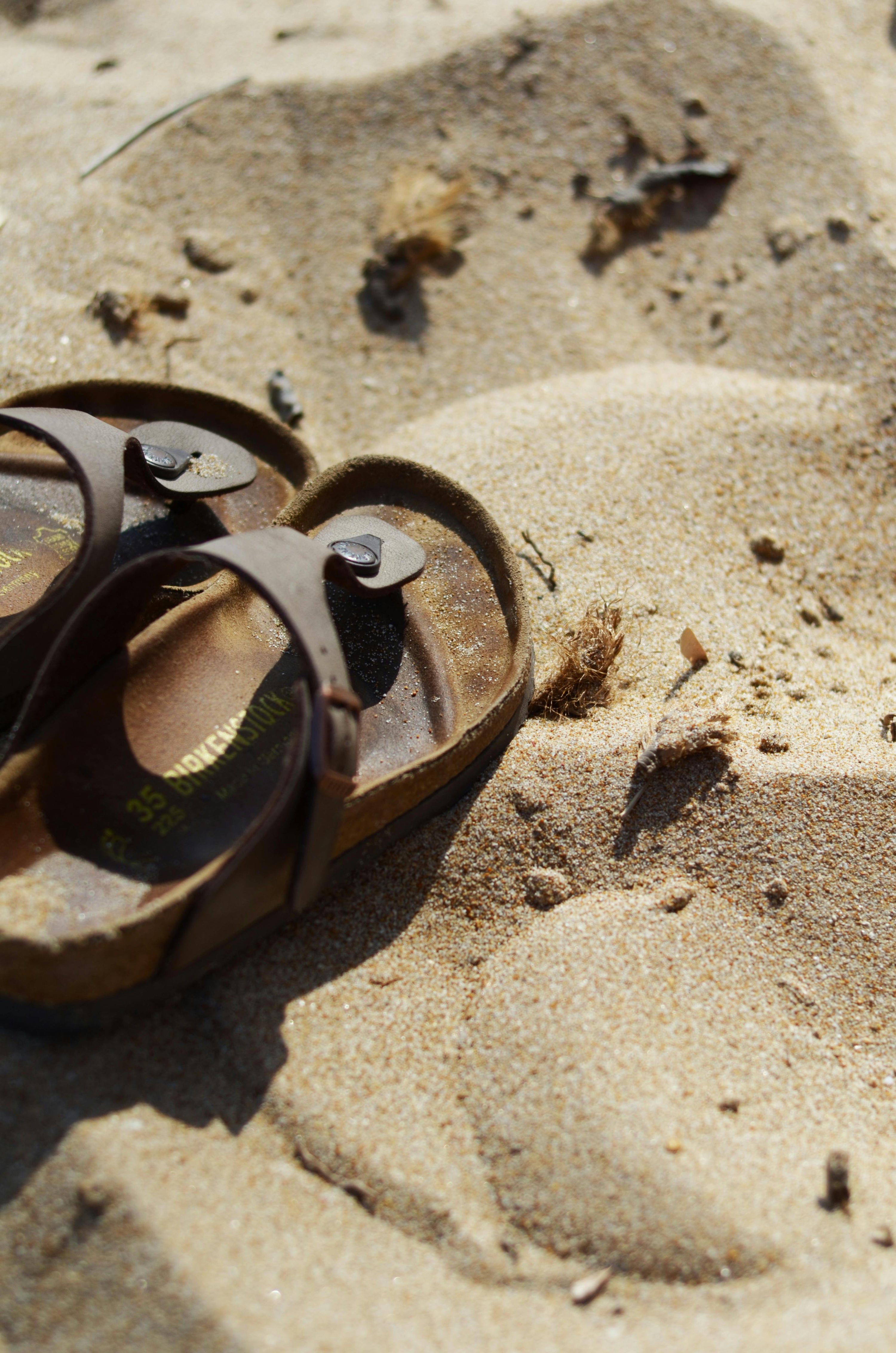 Modelli di sandali Birkenstock da donna comodi e trendy per l’estate 2025, disponibili su Viale del Glamour