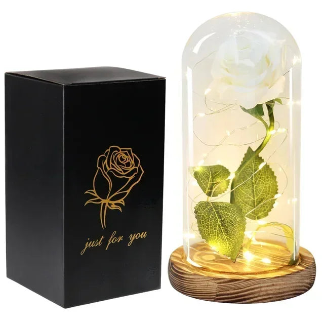 Rosa Eterna in Vetro Beauty & Beast – Regalo Romantico San Valentino