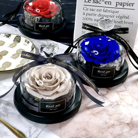 Rosa Eterna LED in Cupola di Vetro – Regalo Romantico San Valentino & Anniversari