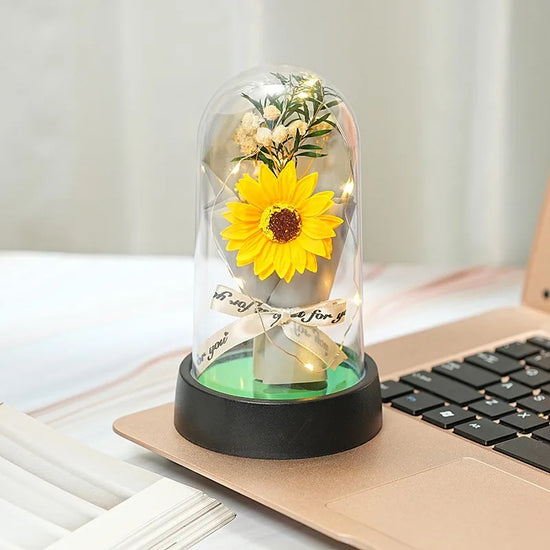 Rosa Eterna Illuminata LED in Cupola di Vetro – Decorazione & Regalo Romantico