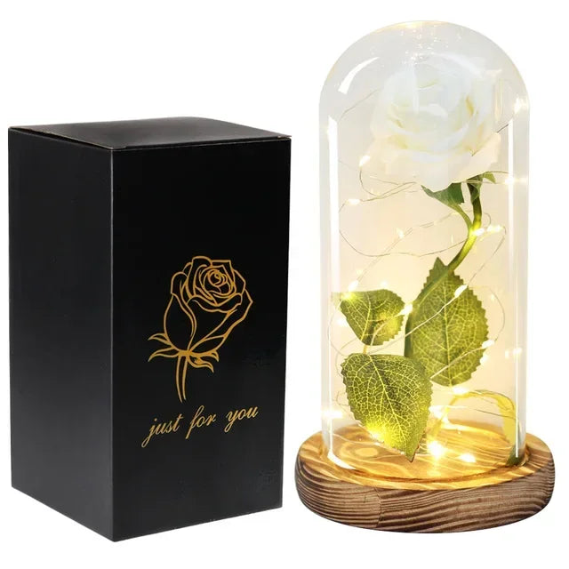 Rosa Eterna in Vetro Beauty & Beast – Regalo Romantico San Valentino