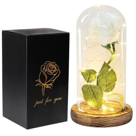 Rosa Eterna in Vetro Beauty & Beast – Regalo Romantico San Valentino