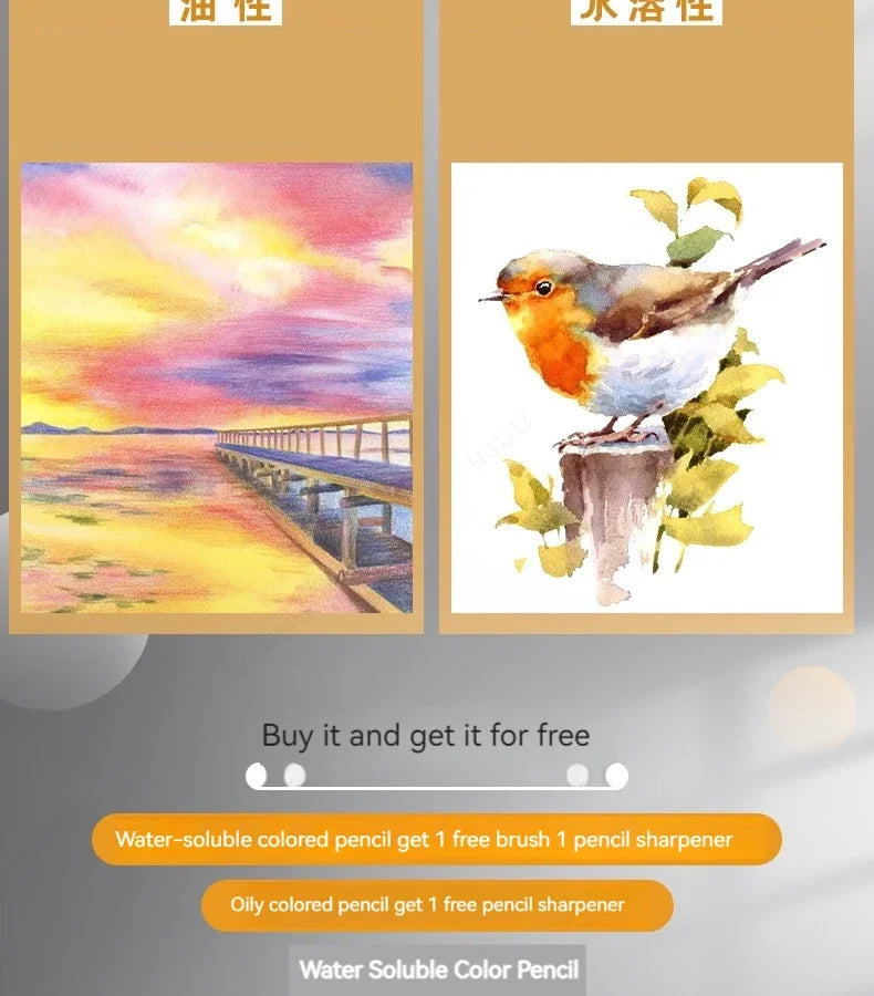 Set Matite Colorate 48/72/120/200 Colori – Oil e Acquerellabili per Disegno