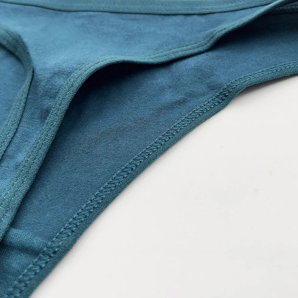 Set 5 pezzi perizomi donna in cotone – G-string low-waist comfort quotidiano, lingerie solid color