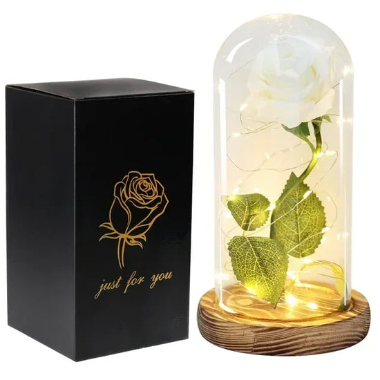Rosa Eterna in Vetro Beauty & Beast – Regalo Romantico San Valentino