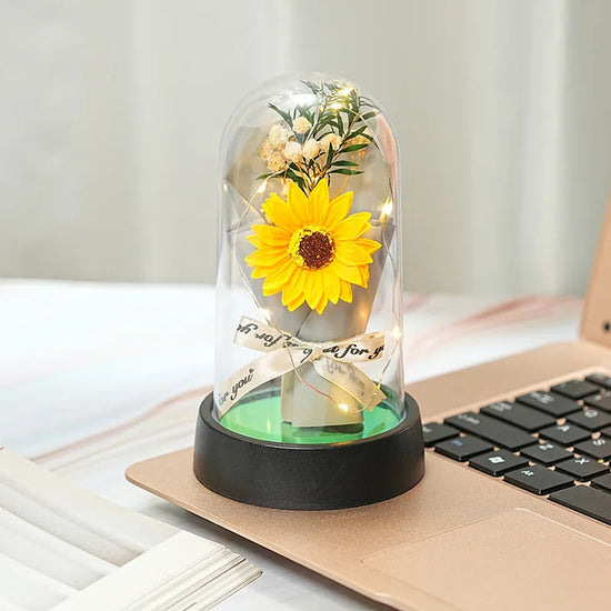 Rosa Eterna Illuminata LED in Cupola di Vetro – Decorazione & Regalo Romantico