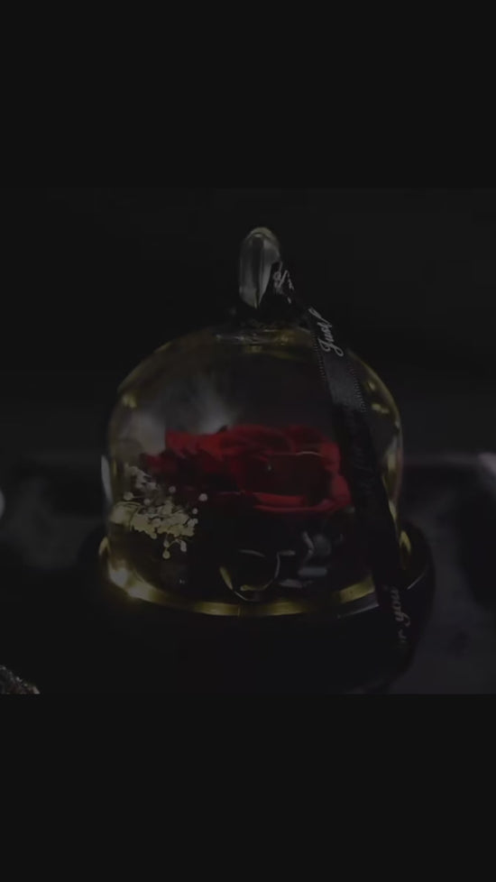 Rosa Eterna LED in Cupola di Vetro – Regalo Romantico San Valentino & Anniversari