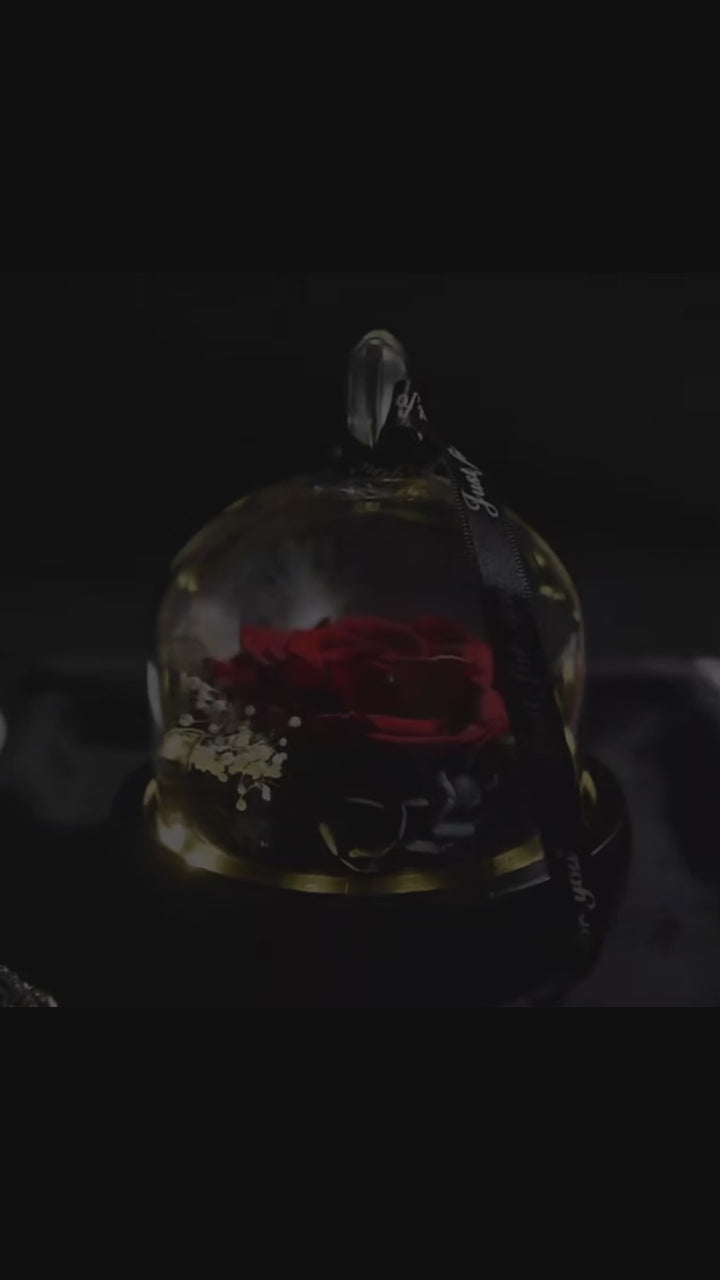 Rosa Eterna LED in Cupola di Vetro – Regalo Romantico San Valentino & Anniversari
