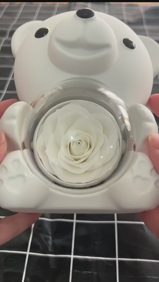 Orsetto con Rosa Eterna e Collana  – Regalo Romantico San Valentino